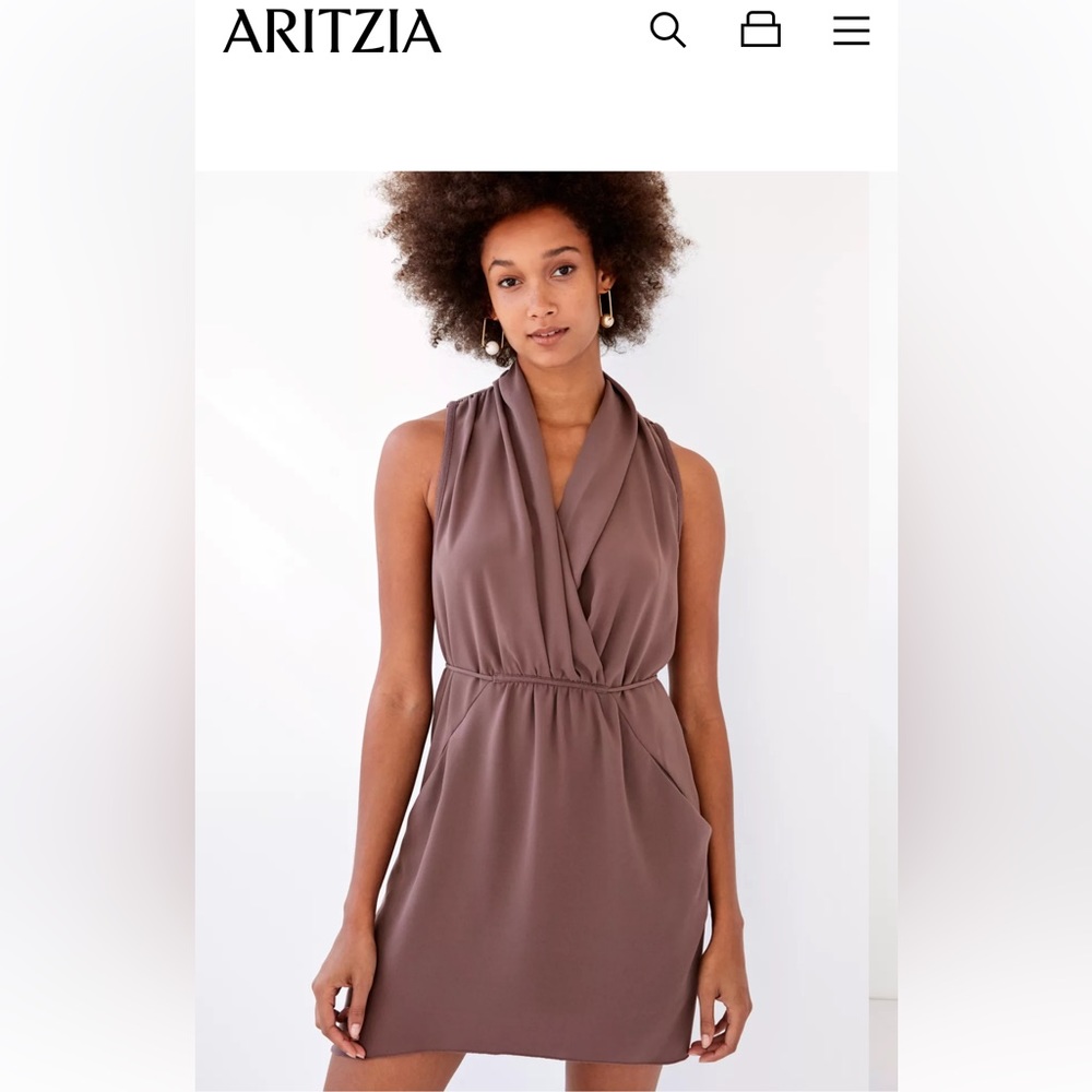 Aritzia Wilfred Sabine Dress in Caban